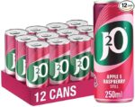 J2O Fruit Juice, Apple and Raspberry, 250ml Cans (Pack of 12)