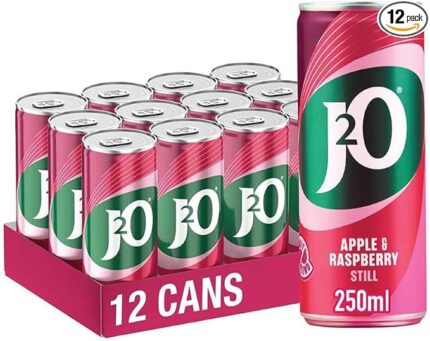 J2O Fruit Juice, Apple and Raspberry, 250ml Cans (Pack of 12)