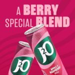 J2O Fruit Juice, Apple and Raspberry, 250ml Cans (Pack of 12)